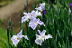 image0164