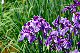 image0165