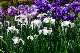 image0166
