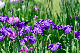 image0169