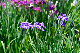 image0170