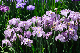 image0171