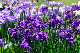 image0172
