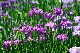 image0173