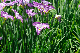 image0175