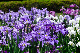 image0176