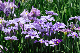 image0177
