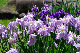 image0178