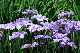 image0179