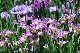 image0180
