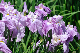 image0182