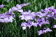 image0183