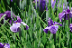 image0184