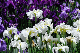 image0185