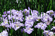 image0186