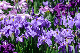 image0187