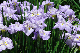 image0188