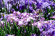 image0189