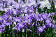 image0190