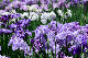 image0191