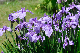 image0192