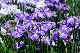 image0193