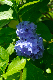 image0197
