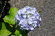 image0198