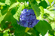 image0199