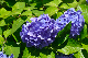 image0200