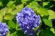 image0201