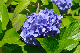 image0202