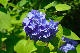 image0203