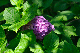 image0204