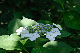 image0208