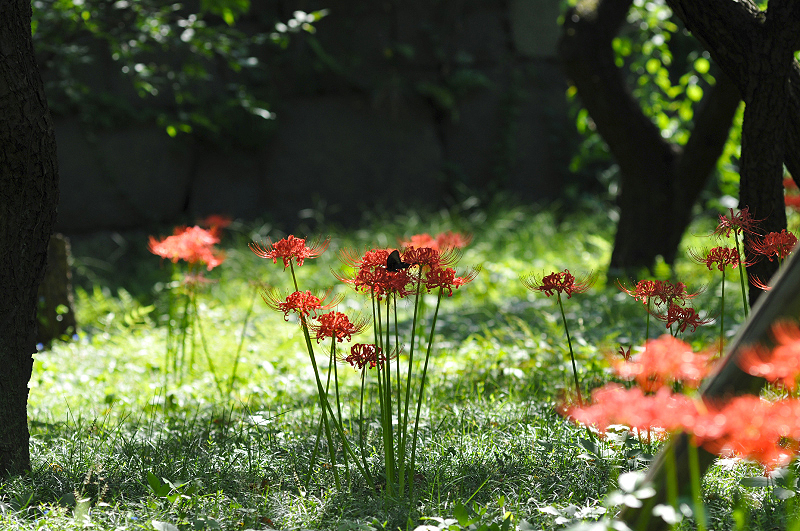 image0122