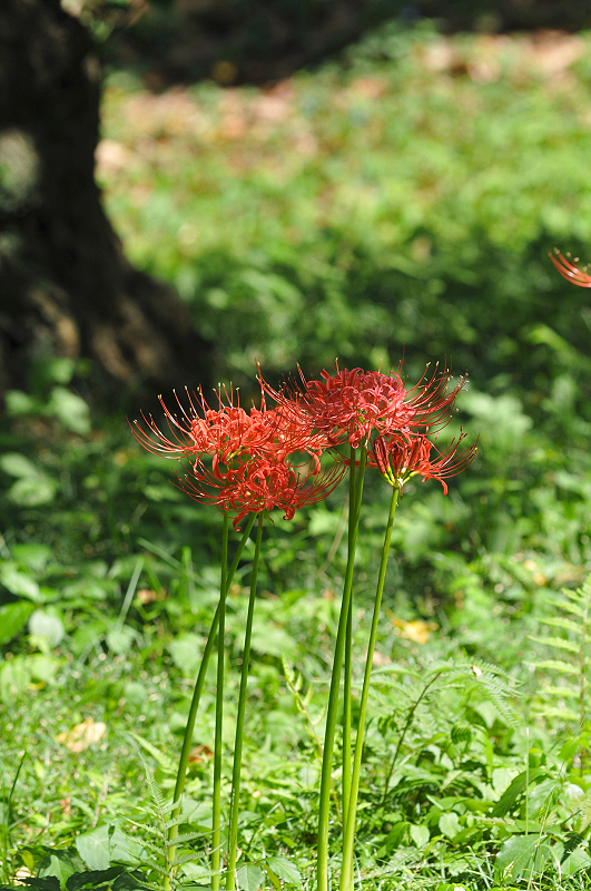 image0141