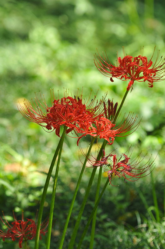 image0143