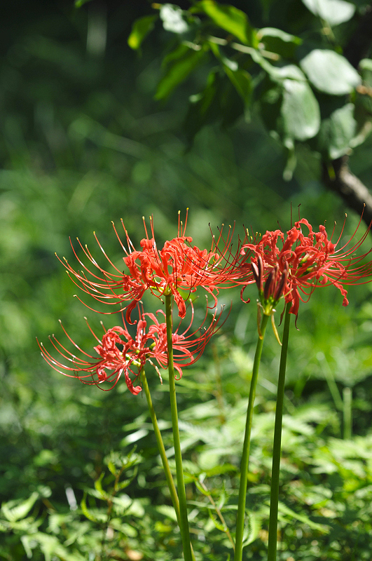 image0144