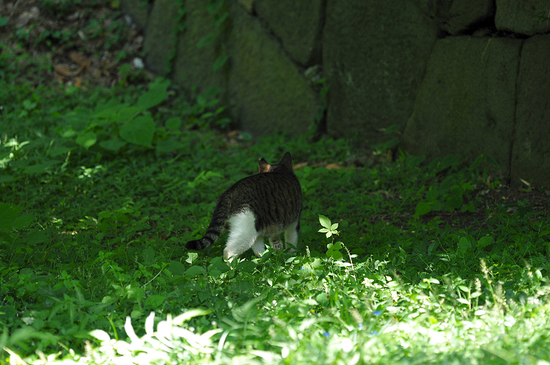 image0146
