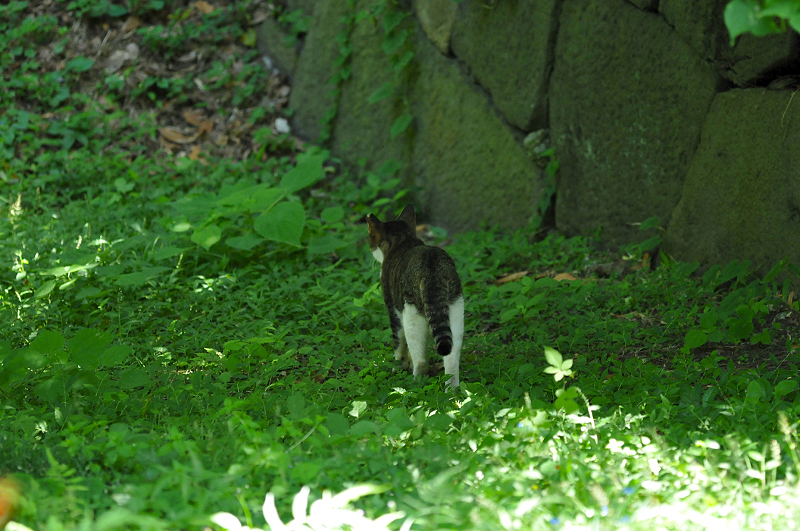 image0147