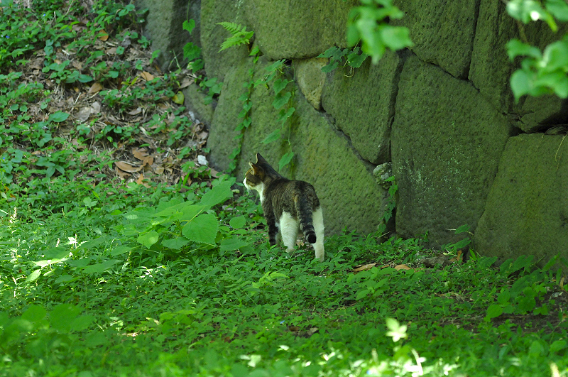 image0148