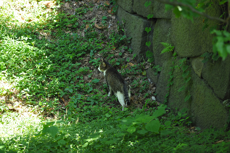 image0149