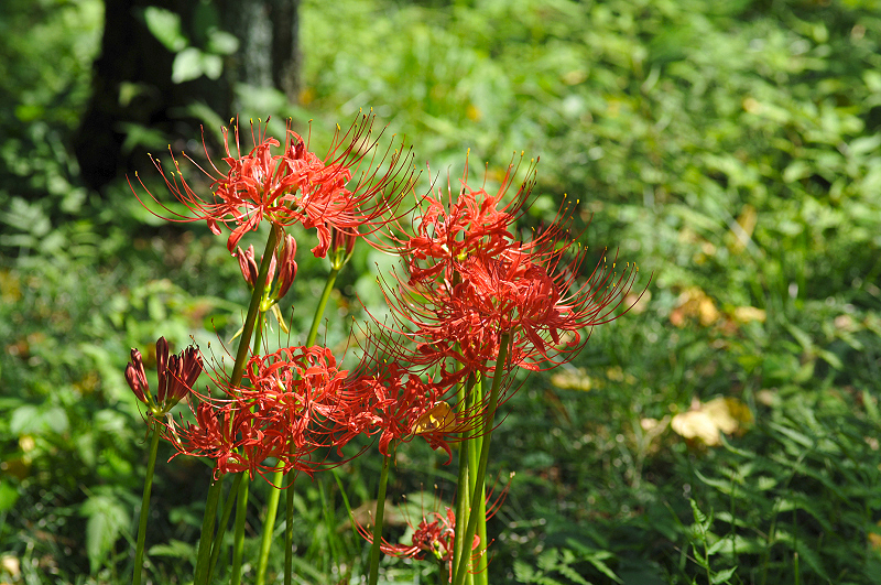 image0150