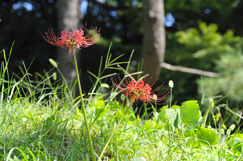 image0151
