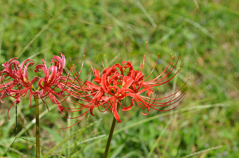 image0153