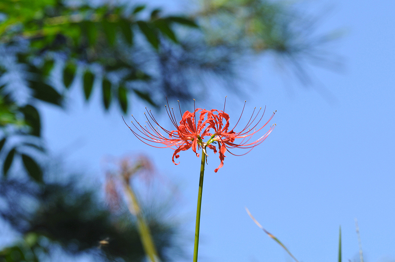 image0154