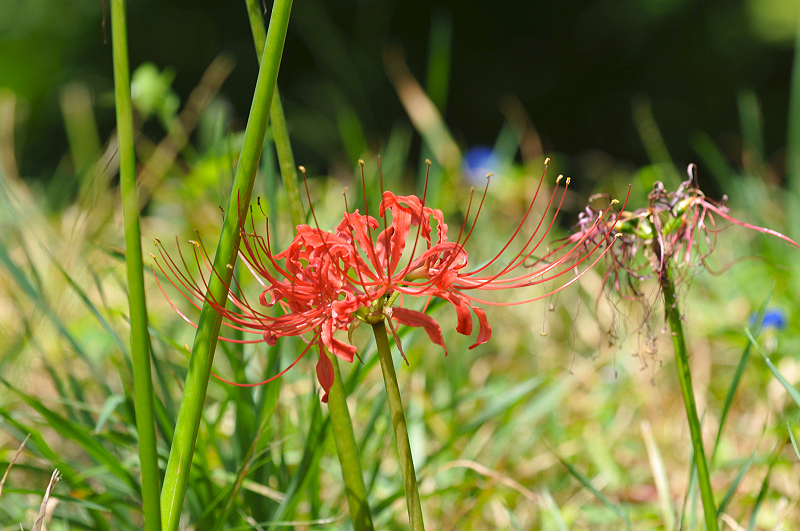 image0155
