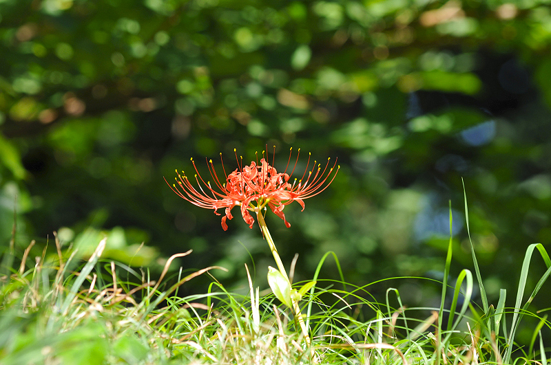 image0156