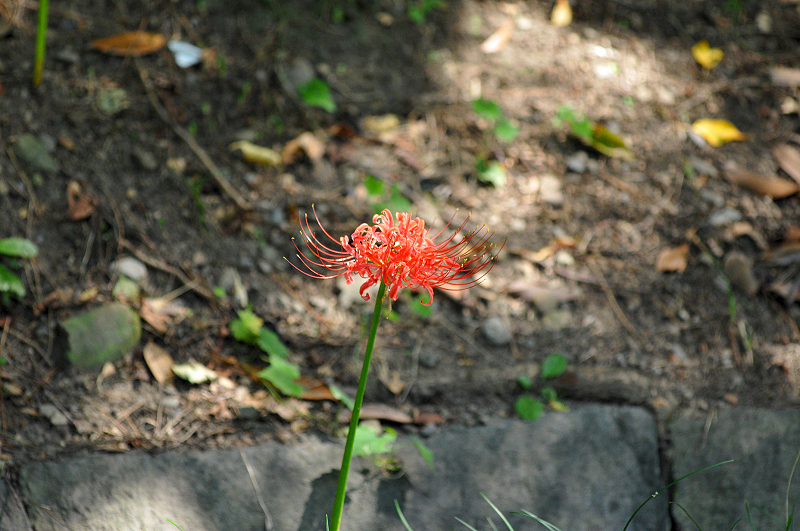 image0160
